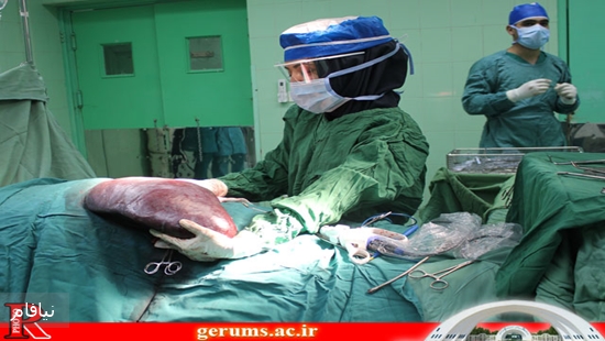 dr1 