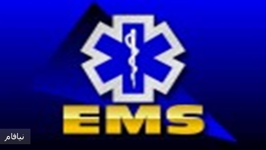 ems-3-logo-poster-126x86 